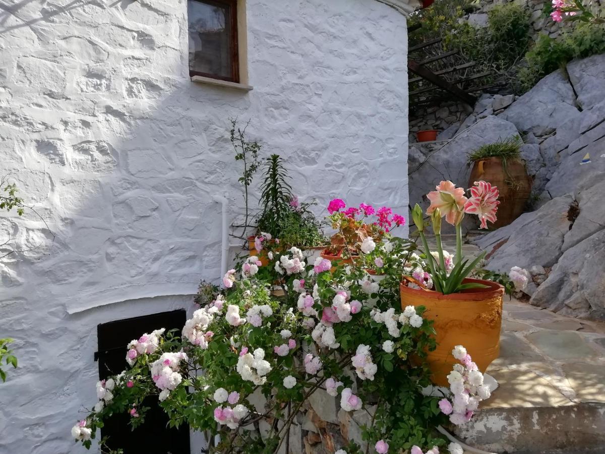 Arbeli House Βίλα Μανδράκι Εξωτερικό φωτογραφία